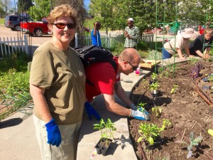 A man and a woman work together to plant a pepper