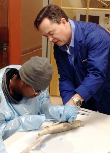 the instructor stands and student sits,both have their hands in the shark's open stomach cavity