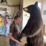 Vika reaching out to the paws of a Bear reaching back to her at the Visitor's Center Bear Creek Lake Park