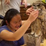 Suzi looks at a mount of a Great Horned Owl