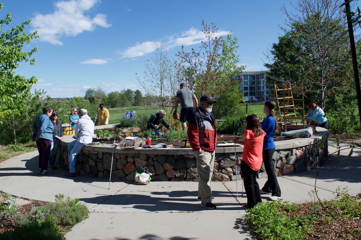 A large group working out in the garden