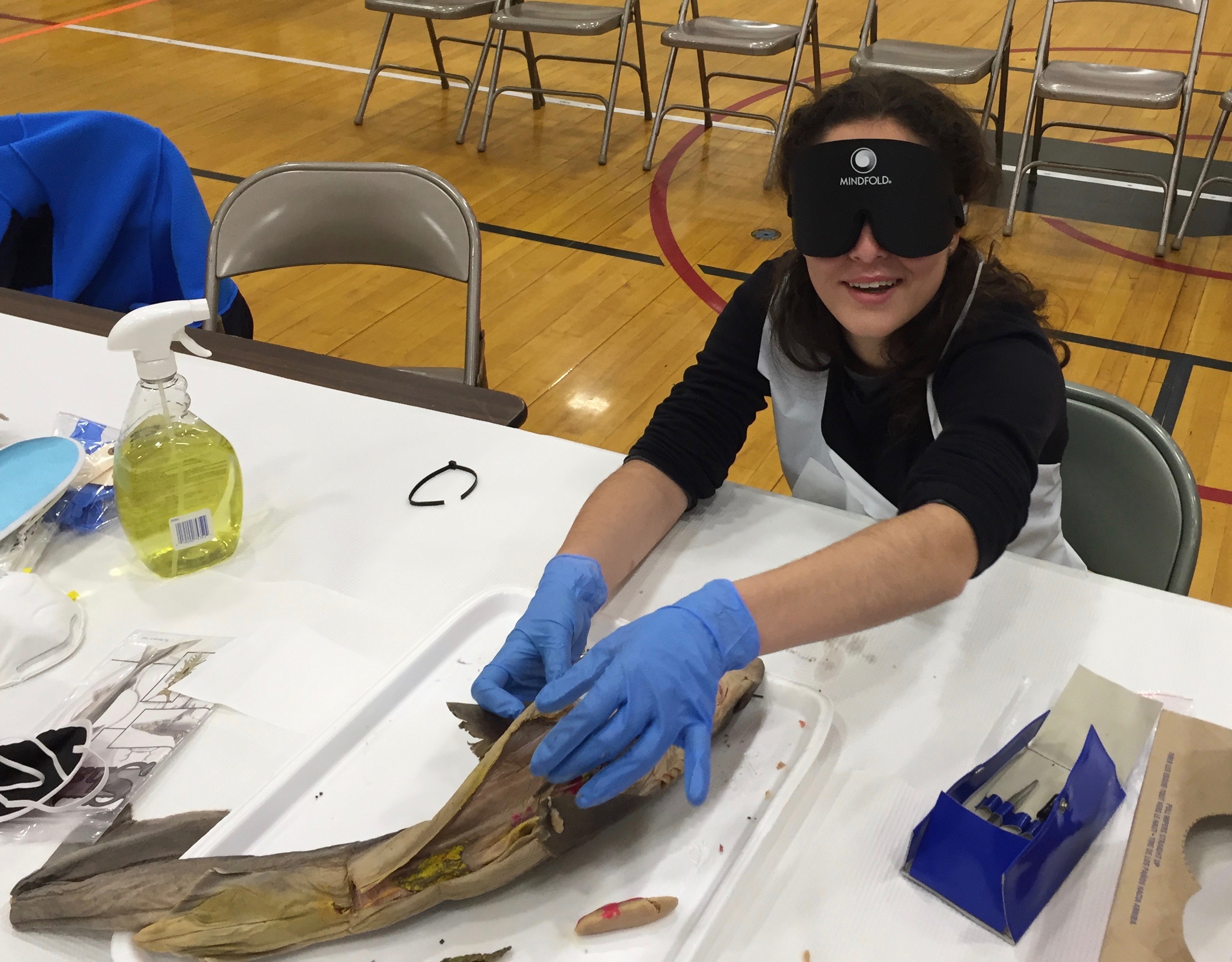 CeCi holds open the shark she dissected