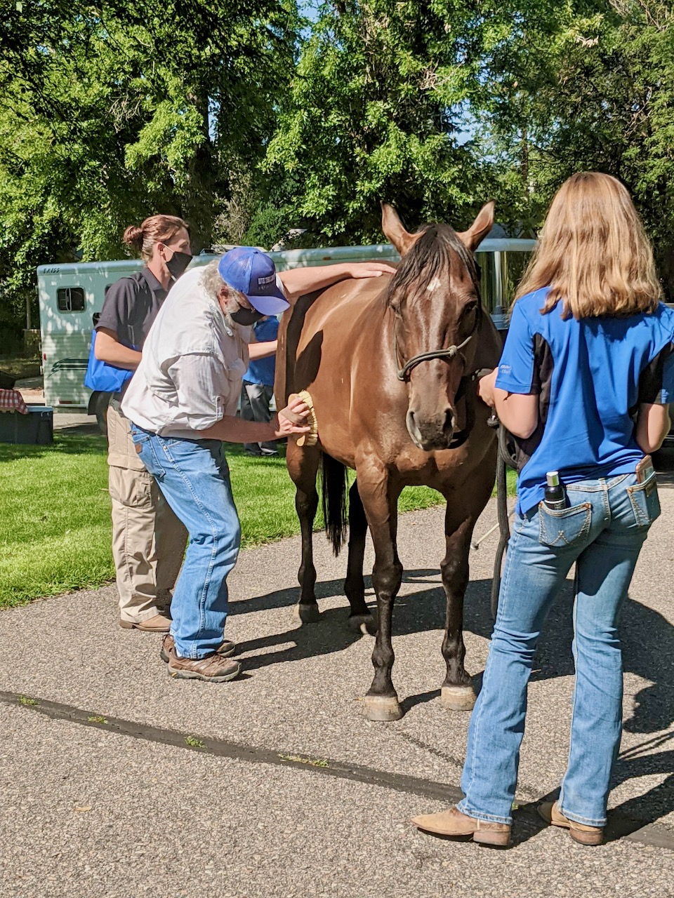Dan brushes Savanah along the side.