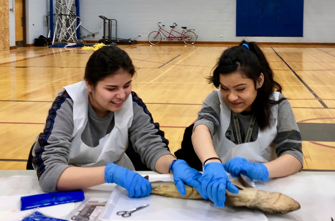 Deya and Alma examine their Shark