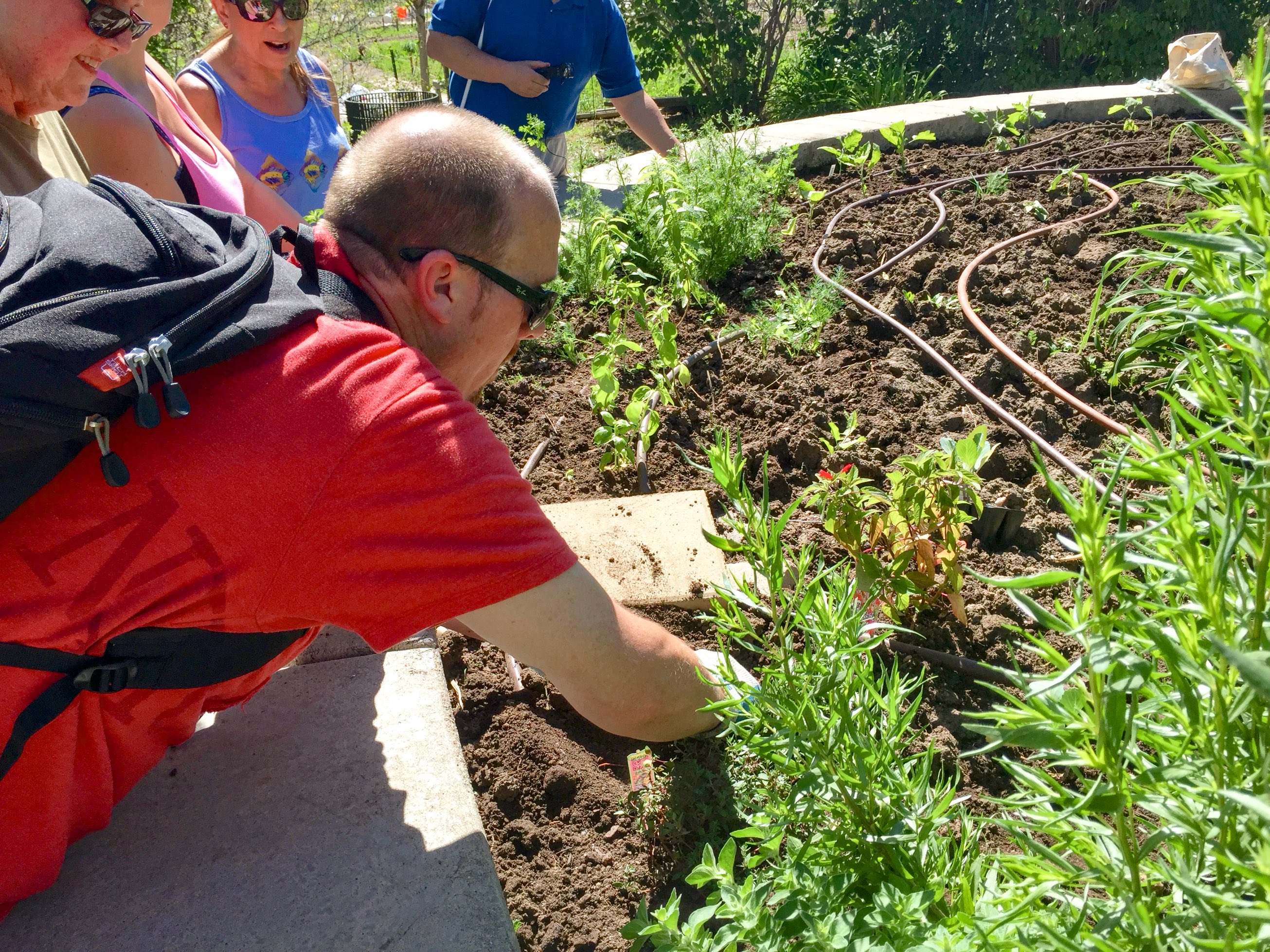 ames digs a hole in the garden getting ready to plant vegetables