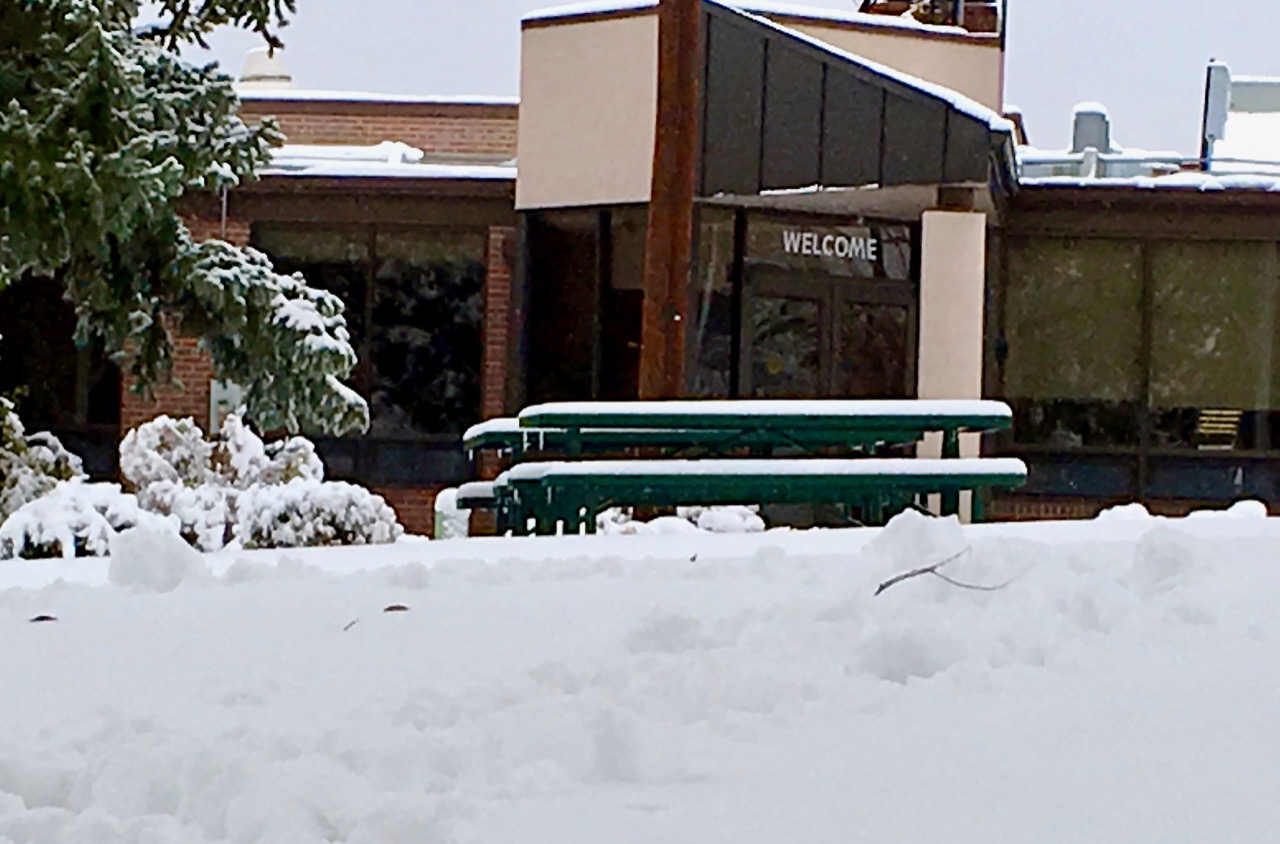 A snow covered evergreen tree outside the Colorado Center for the Blind