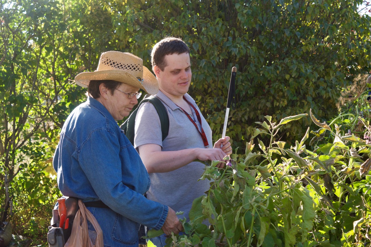 Master Gardener shows new student (David) around the garden