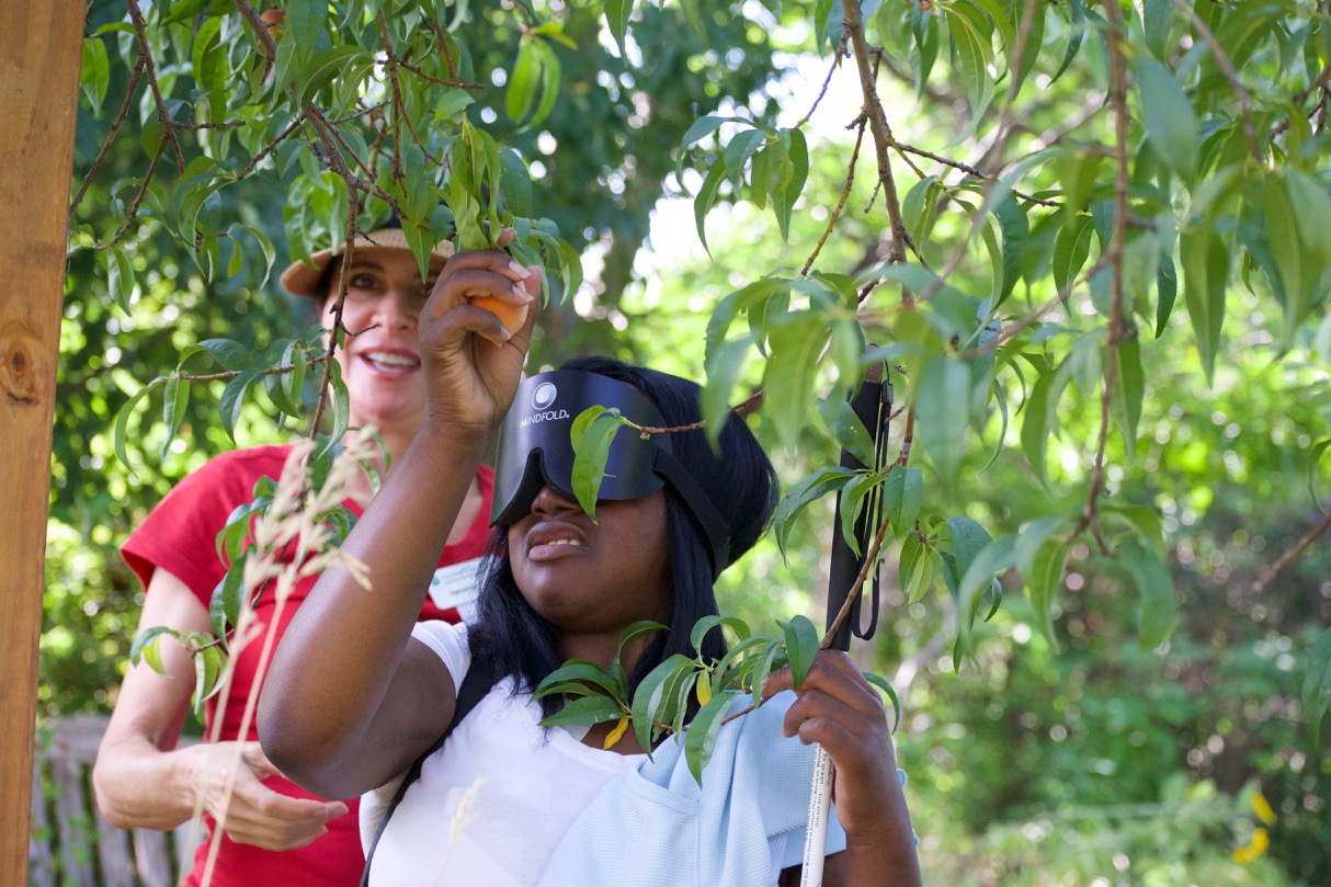 Octavia picking Peaches