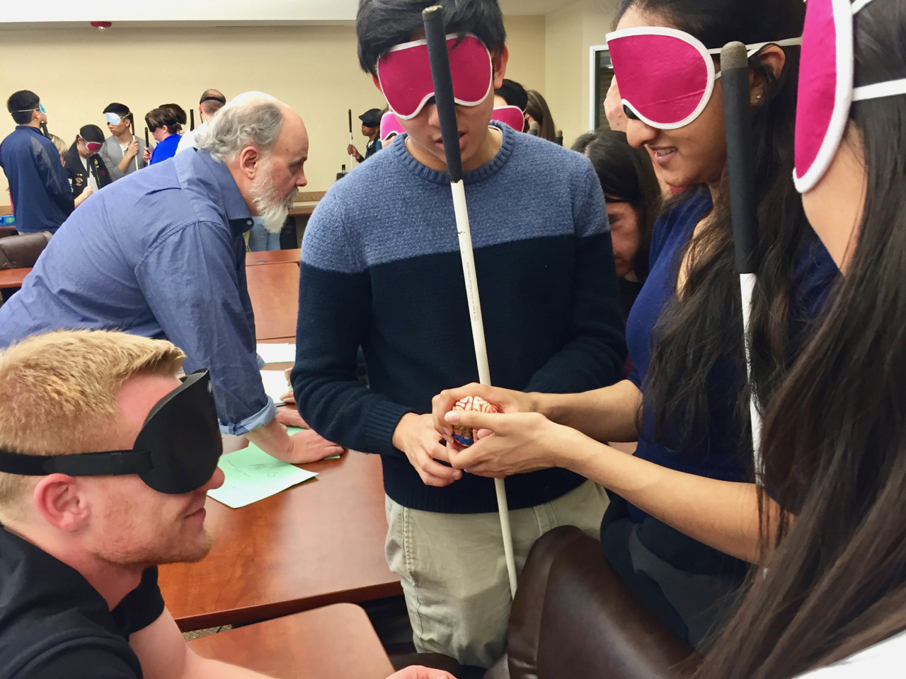 Students in sleepshades examine the mode of a brain on the table between them.