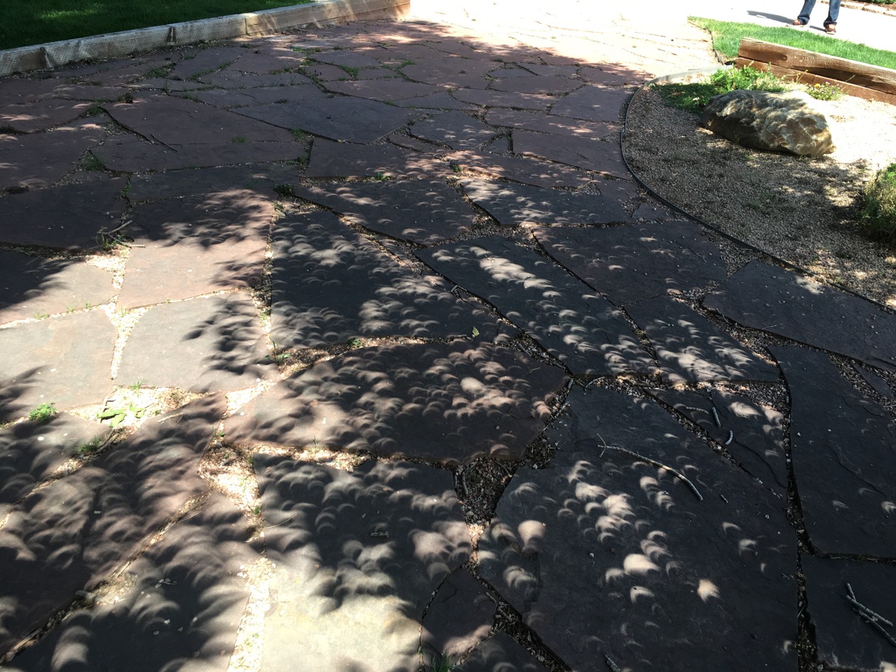 Tree leaf shadows make a natural pinhole eclipse viewer on the CCB flagstone in the front garden
