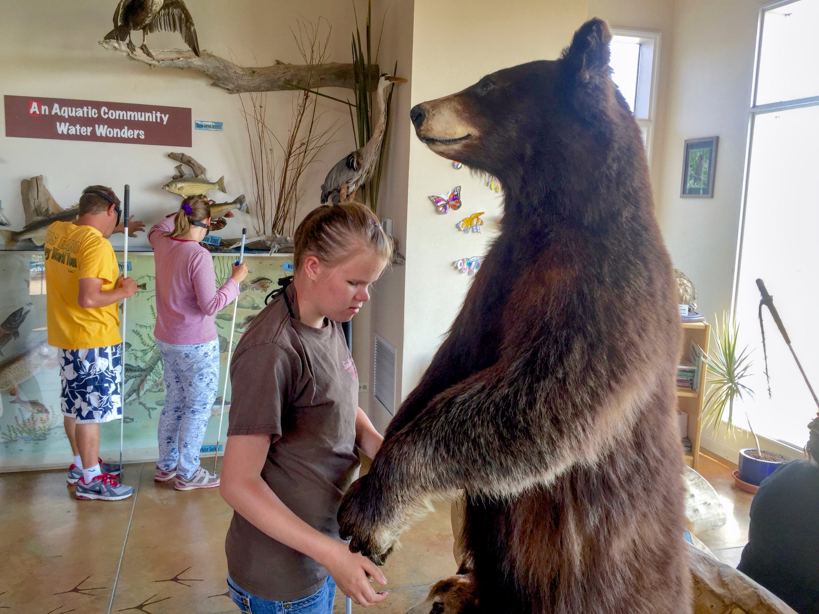 Vika reaching out to the paws of a Bear reaching back to her at the Visitor's Center Bear Creek Lake Park