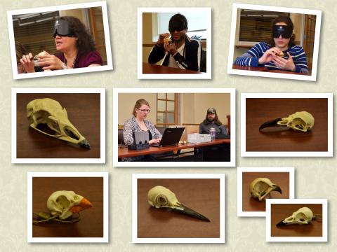 Birding by Ear Skulls Montage