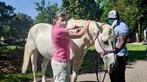 Kelly in sleep shades and mask turns her head to her right while she brushes a white horse named Booger with her left hand. Booger is 