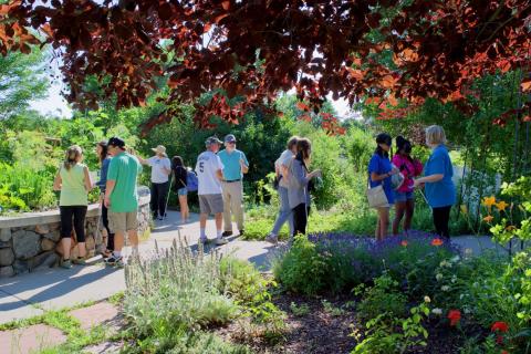 Large group of Summer Youth out in the garden with their bags full of things