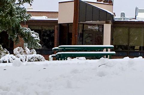 A snow covered evergreen tree outside the Colorado Center for the Blind