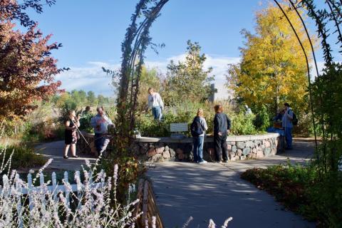 Looking through the garden arches at a group of CCB students and staff working in the garden against a wall of Fall colors