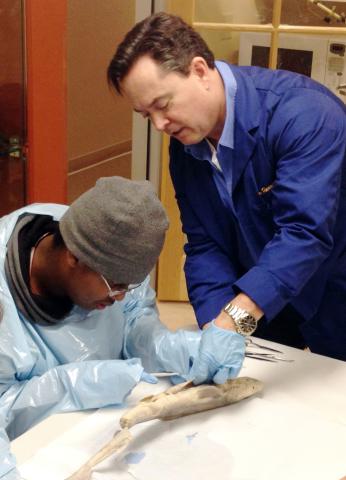 <p>It’s that time of the year. Just as we start to think about turkey and stuffing with cranberries, it’s time for blind kids in the area to get hands-on with shark innards!</p>  <p>As he has for more than a decade, <a href="https://www.arapahoe.edu">Arapahoe Community College’s</a> <a href="https://www.arapahoe.edu">Biology Professor Terry Harrison</a> will lead a shark dissection at CCB on Friday, November 18. Harrison has partnered with CCB to ensure that blind kids in Colorado get actual experience in t