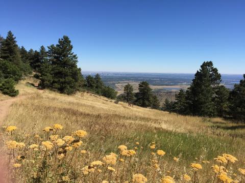 A rare clear day in this view from Mt. Falcon near Morrison.