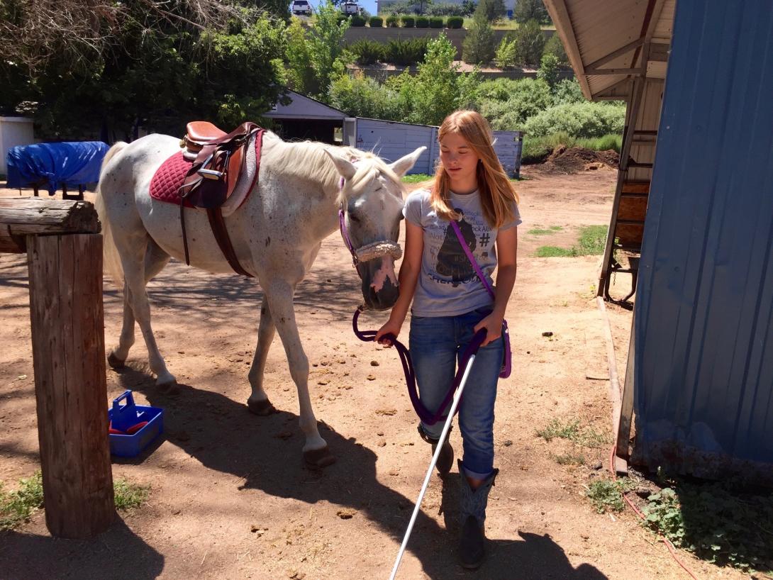 Marie walking Smokey - reins in one hand cane in the other