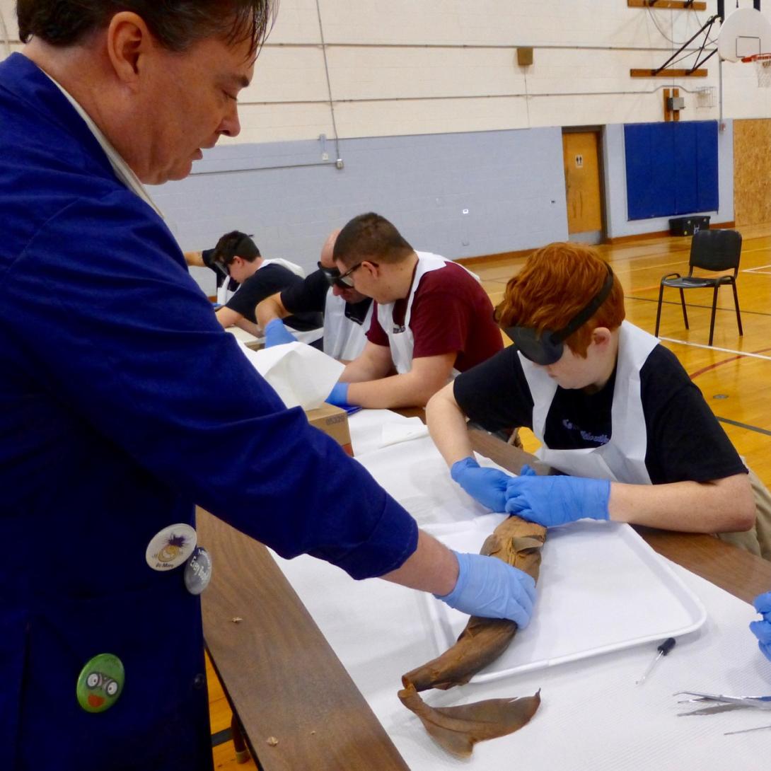 Instructor holds a shark while a student dissects it.