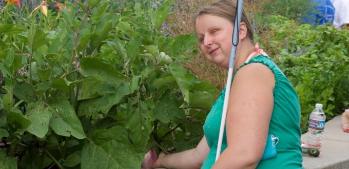 a smiling young woman parts green foliage to find a bulbous purple eggplant