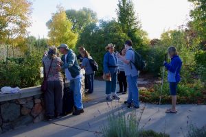 Large group of students interacts with the Master Gardeners against a wall of Fall colors