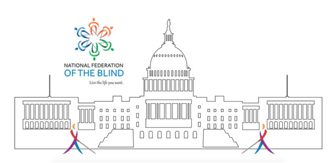 Scholarship Available for blind High School Students: Attend the NFB Washington Seminar Jan. 27-30