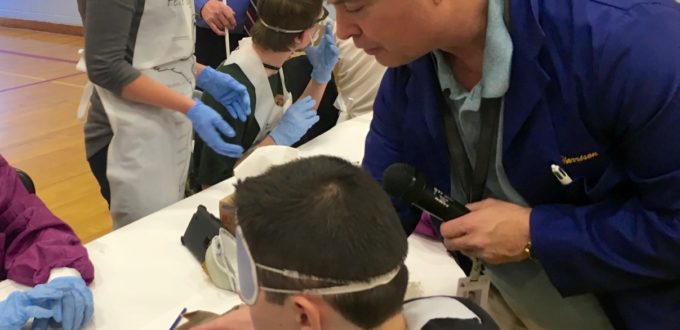 Terry Harrison showing a student various organs inside a shark