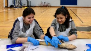 Deya and Alma ready to dissect their Shark