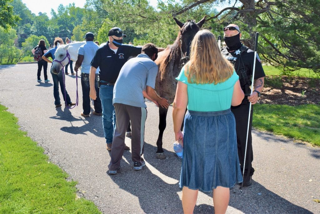 In the foreground Bishoy leans down to examine Six-pack's front leg. Julie looks on, and in the background many horses and people are visible among the trees.