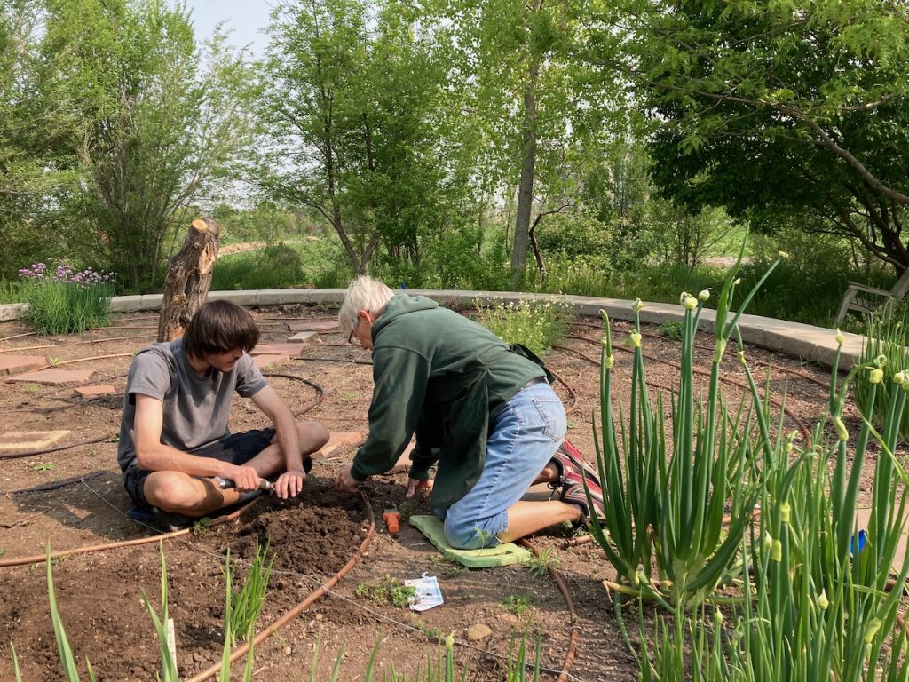 Daniel sits cross-legged in the garden holding a trowel while talking with a Master Gardener