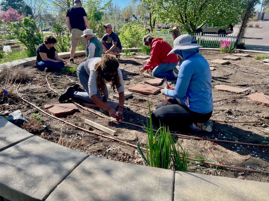Before planting began, the garden was sectioned off with twine. Here’s Joy stringing twine for a section between the drip irrigation tubes. Fellow ITP students Sarah and Fitz and one of the master gardeners Master Gardeners work nearby.
