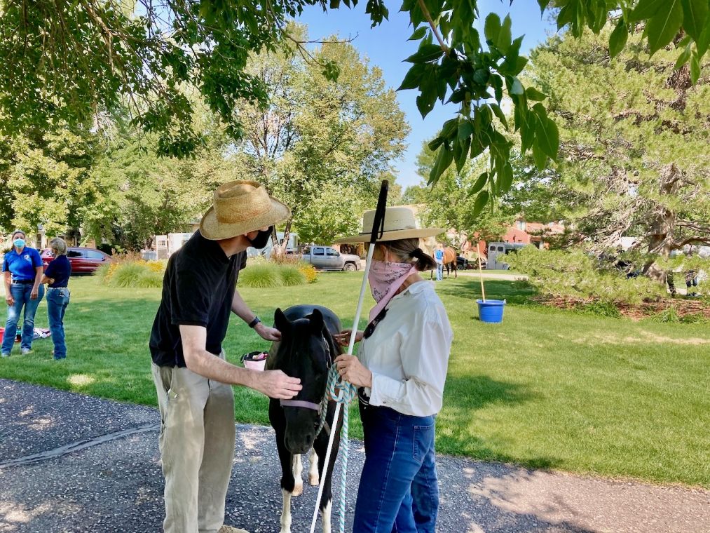 David says hello to Rainbow, his right hand gently sliding down the pony’s nose, while his left hand rests on her back.